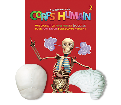 les organes et les os & construire un squelette R09-0010 Étrange Science Kit en savoir plus sur corps 